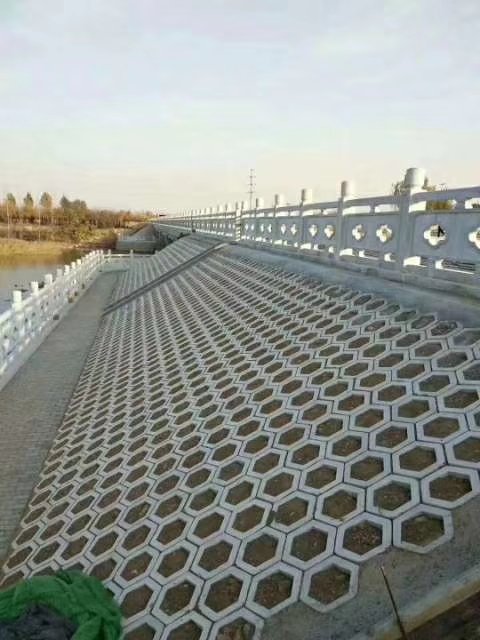 河堤护坡砖