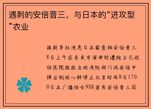 遇刺的安倍晋三，与日本的“进攻型”农业